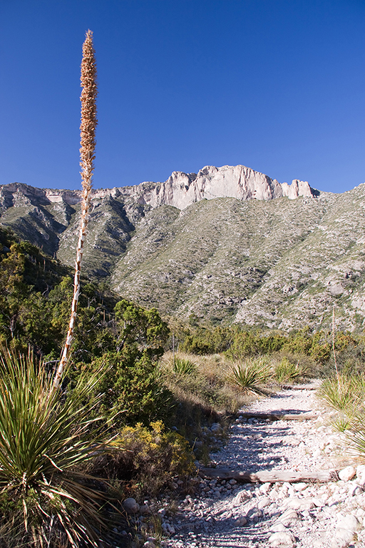 23_McKittrick Canyon_1.jpg